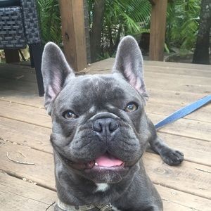 Meet your Posher, Danny